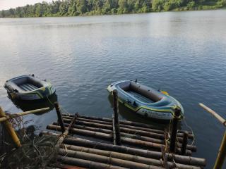 The Cove, ' the silent Symphony ' - 4