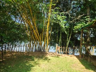 The Cove, ' the silent Symphony ' - 3