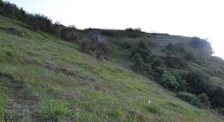 Mystique Highland Resort - 3