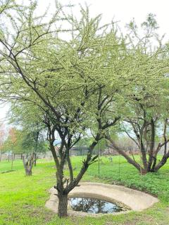 Pop inn 74 - Midrand - 4