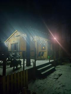 Dzik w zagrodzie - 9