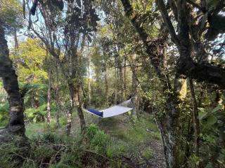 Golden Ridge Retreat - 7