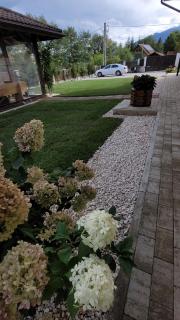 Casa Aryana, adults only - 5