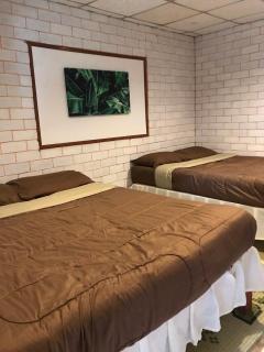 palacoffeehouse ปางอุ๋ง แม่ฮ่องสอน - 6