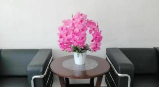 Hotel Darulaman Alor Setar - 9