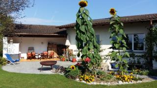 ruhige Zimmer in Privathaushalt, vegetarisch - 1