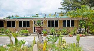 Capital O 90557 Dedsaan Beach Village - 7