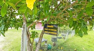 OYO 90708 D'kuala Waterfront Chalet & Boat Charters - 9