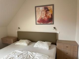 Cezanne app 0501 - 1