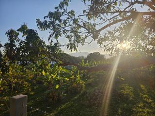 Khiri&Kiwi homestay - 9