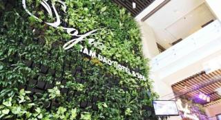 Thang Loi Tam Dao Hotel - 9