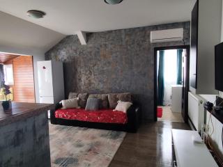Apartament in regim hotelier - 9