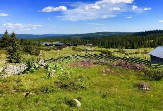Magiske Vinterdage I Sjusjøen - 7
