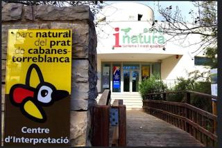 Torrenostra beach apartment - 6