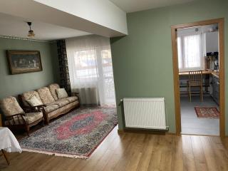 Apartament ultracentral Botis - 8