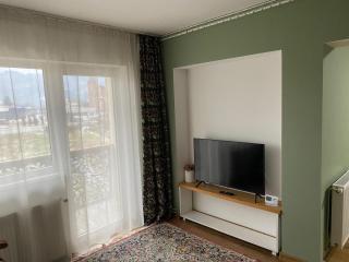 Apartament ultracentral Botis - 5