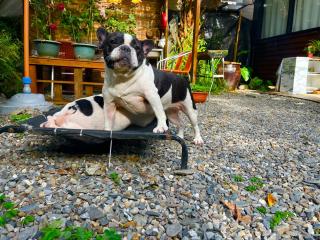 綠宿 4人獨立包棟 - 6