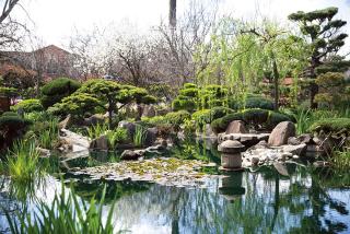 3 Bedroom City Apt, Big Yard & Park Views - Sleeps 7 - 2