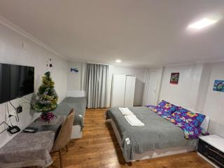 BANI tsikhisdziri - 8