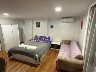 BANI tsikhisdziri - 9