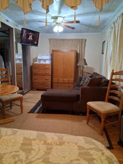 Efficiency Apt - Airport and UofR at Strong Hospital Area - Professionals Welcomed - 8