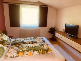 Wohnung mit wundervollem Bergpanoramablick - Wattenberg - 9