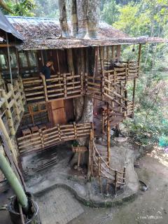 Munnar Tree house and Farm - 8