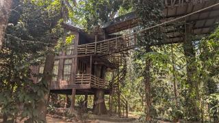 Munnar Tree house and Farm - 6