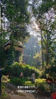 Munnar Tree house and Farm - 5