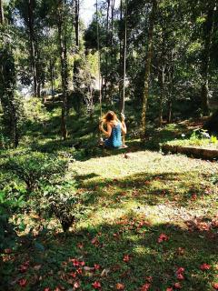 Munnar Tree house and Farm - 4