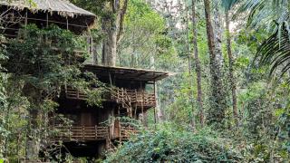 Munnar Tree house and Farm - 3