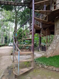 Munnar Tree house and Farm - 2