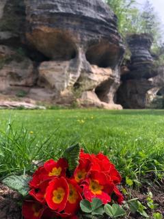 Wellness Kokořín - 1