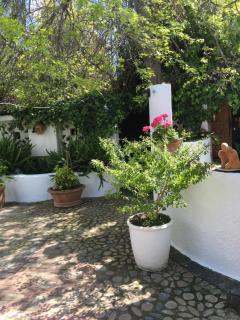 Brookwood Cottage - 1