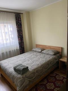 Apartament ultracentral Botis - 4