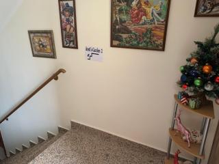 Areti's Garden 2 - 7