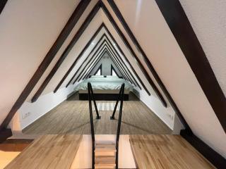 Ćilibar Stara planina - 1