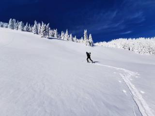 Malino Resort & Residences - Chalets - 2