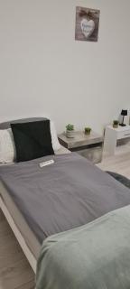 Moderne, zentral gelegene 2-Zimmer-Wohnung für 4 Personen, ideal für Monteure, Messegänger und Touristen - 3