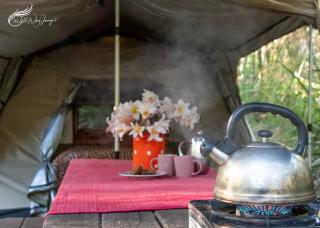 WA Wilderness Camping Experience - 0