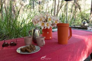 WA Wilderness Camping Experience - 4