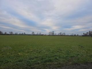 Ferienwohnung Auf der Warthe - 6