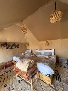 Peaceful Luxury Camp - 7