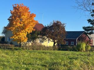 Maalaistalo, pienessä kylässä, Vakkilassa - 5