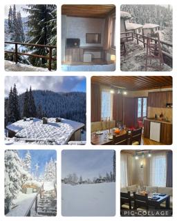 Комплекс БОЖИДАРИЦА - 5