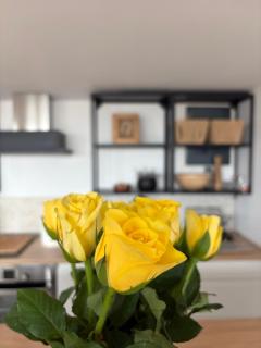 Carsium View House - 8