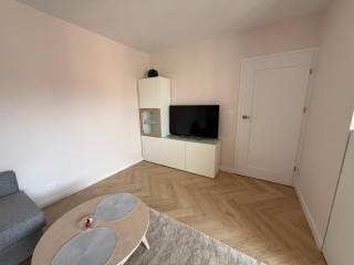 Apartament Przy Palmiarni - 3