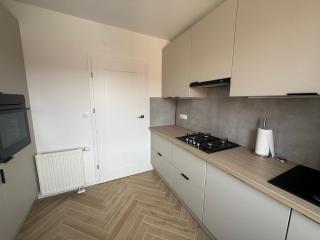 Apartament Przy Palmiarni - 8