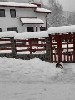 Cabana Nisipoasa - 8