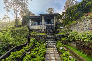 Garfield Cottage by TONIK - 4